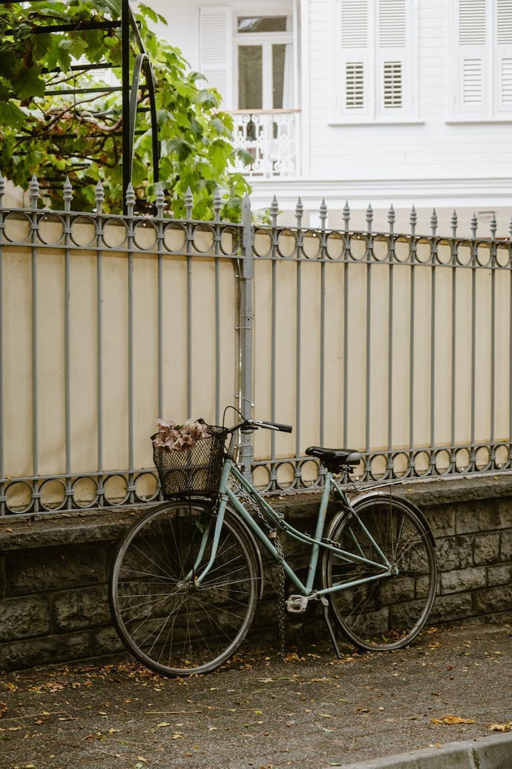  bicycle_with_flowers_by_fence